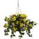 Nearly Natural Hibiscus Hanging Basket Artificial Plant