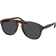 Persol PO 0649CO 113987