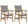 vidaXL 316249 2-pack Garden Dining Chair