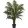 Nearly Natural Evergreen Artificial Plant