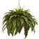 Nearly Natural Boston Fern with Cone Hanging Basket 100.5cm