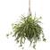 Nearly Natural Spider Artificial Plant