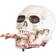 Joker Halloween Crawling Skull