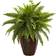 Nearly Natural Boston Fern Artificial Plant