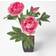 Homescapes Peonies Artificial Plant