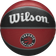 Wilson NBA Team Tribute Basketball