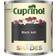 Cuprinol Garden Shades Tester Paint Pot Wood Protection Black Ash 0.125L