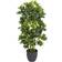 Real Schefflera Umbrella Konstgjord växt