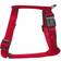 Zolux Cushion Harness 25mm