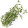 Veritable Organic Thyme Lingot Plantesæt