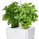 Veritable Exky Classic Garden Minidrivhus
