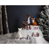 Star Trading Figurine Crystalo Fox Julbelysning