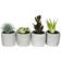 Vickerman Assorted Potted Succulents Artificial Plant