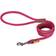 Zolux Imao Hyde Park Leash 6mm