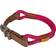 Zolux Imao Hyde Park Collar 11mm