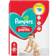 Pampers Baby Dry Nappy Pants Size 4 38pcs