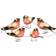 Konstsmide Bullfinch Guirlande Lumineuse 40 Lampes