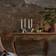 Star Trading Dinner Flamme Slim LED-ljus 20cm 4st
