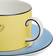 Wedgwood Sheila Bridges Teacup & Saucer Set Tazza da tè 22cl