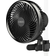 Ac Infinity AC Infinity CLOUDRAY S6 10-Speed Grow Tent Clip Fan 6-In. Auto