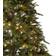 Charles Bentley Luxury Green Christmas Tree 182cm