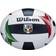 Wilson Italian League Official Game Ball WTH6114XB