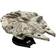 Disney Star Wars Millennium Falcon 216 Pieces