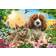 Castorland Best Pals 200 Pieces