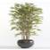 Emerald Japanese Bamboo Planta Artificial