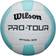 Wilson Pro Tour Volleyball