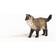 Schleich Farm World Ragdoll Cat 13940