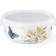 Lenox Butterfly Meadow Kitchen Container 0.591L