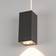 SLV Big Theo Anthracite Wall light