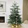 Nordic Winter Normann Green Julgran 200cm