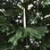Nordic Winter Normann Green Julgran 200cm