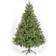 SnowTime Deluxe Colorado Green Christmas Tree 213cm