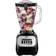 Oster classic series 5-speed blender