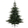 Kaemingk Everlands Frosted Grandis Christmas Tree 210cm