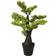 vidaXL Artificial Cypress Bonsai with Pot 60 cm Green Christmas Tree 60cm