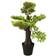 vidaXL Artificial Cypress Bonsai with Pot 60 cm Green Christmas Tree 60cm