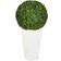 Nearly Natural Boxwood Ball Artificial Plant