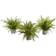 Nearly Natural Ferns with Planter Set Artificial Plant 3pcs