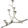 Polspotten Twiggy With Squirrels Candelabro 30cm