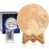 Branded Moon Lamp 3D Moon Night Light