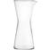 Iittala Kartio Water Carafe