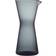 Iittala Kartio Water Carafe