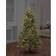 Premier Decorations Multi-Function 2000 LED Christmas Tree Light