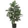 Nearly Natural Zebra Artificial Plant