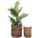 House Nordic Burton Basket 57cm 57cm 2pcs