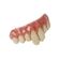 Trick or Treat Studios Pennywise Teeth